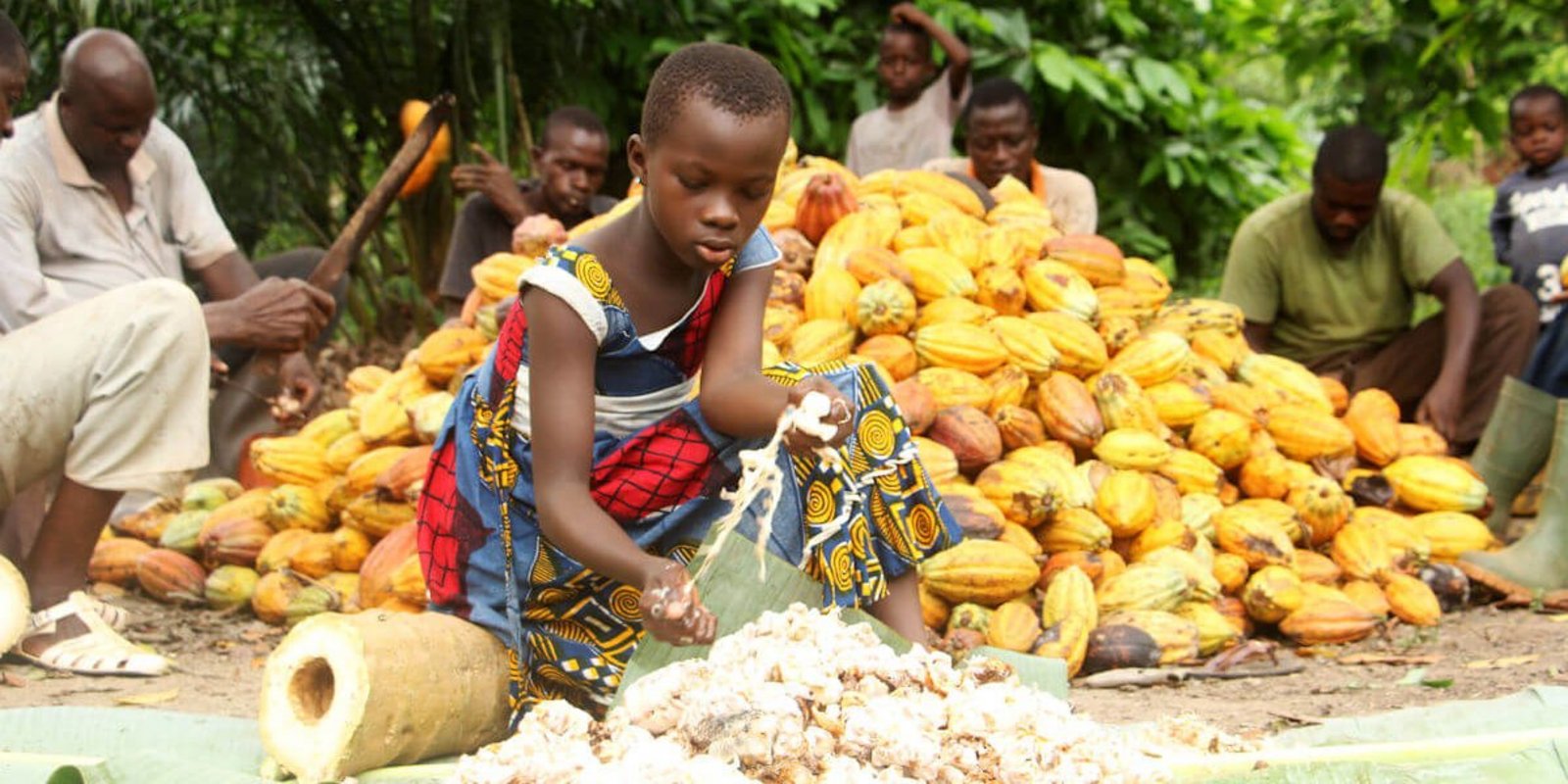 Eine junge Frau hilft bei der Kakao-Verarbeitung in Afrika.