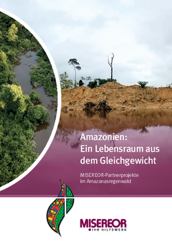 Factsheet "Misereor-Partnerprojekte im Amazonasregenwald"
