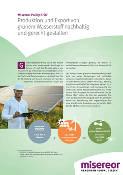 Produktion und Export von grünem Wasserstoff nachhaltig und gerecht gestalten